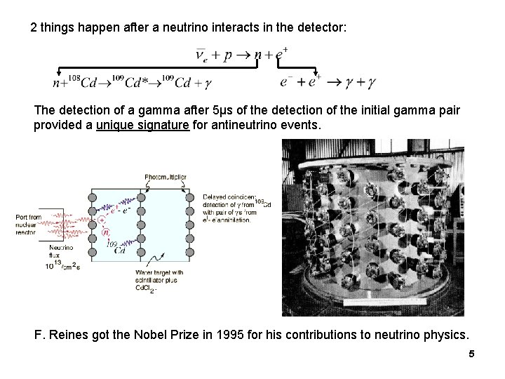 2 things happen after a neutrino interacts in the detector: The detection of a