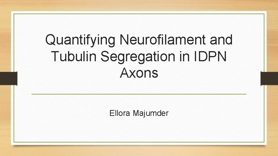 Quantifying Neurofilament and Tubulin Segregation in IDPN Axons Ellora Majumder 