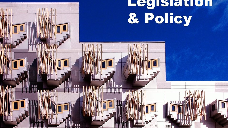 Legislation & Policy 