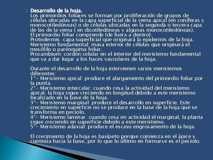 � Desarrollo de la hoja. Los primordios foliares se forman por proliferación de grupos