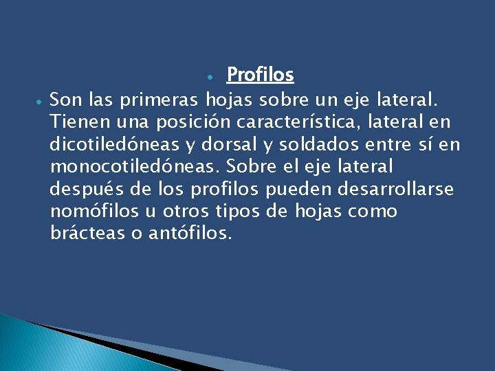 Profilos Son las primeras hojas sobre un eje lateral. Tienen una posición característica, lateral