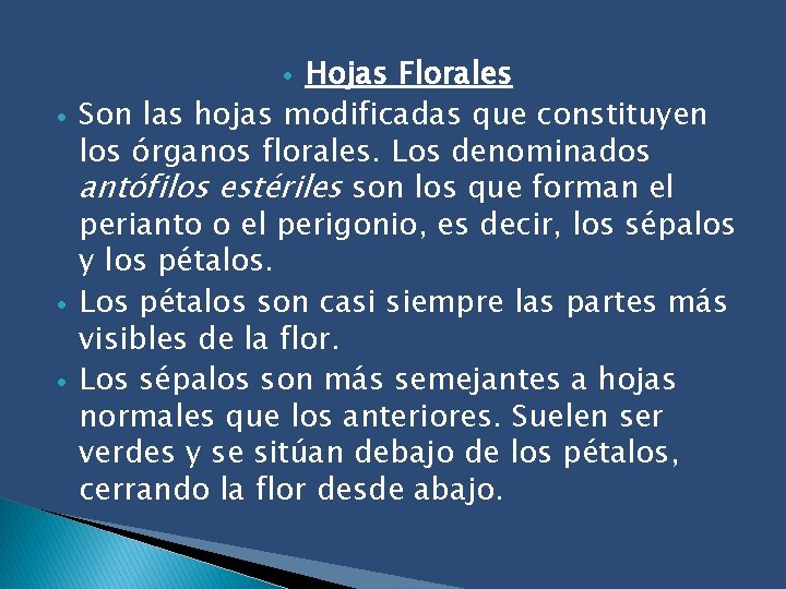 Hojas Florales Son las hojas modificadas que constituyen los órganos florales. Los denominados antófilos