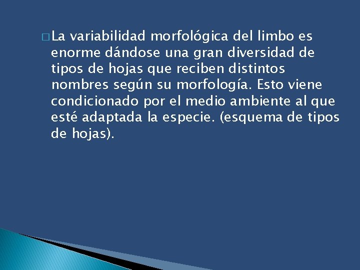 � La variabilidad morfológica del limbo es enorme dándose una gran diversidad de tipos