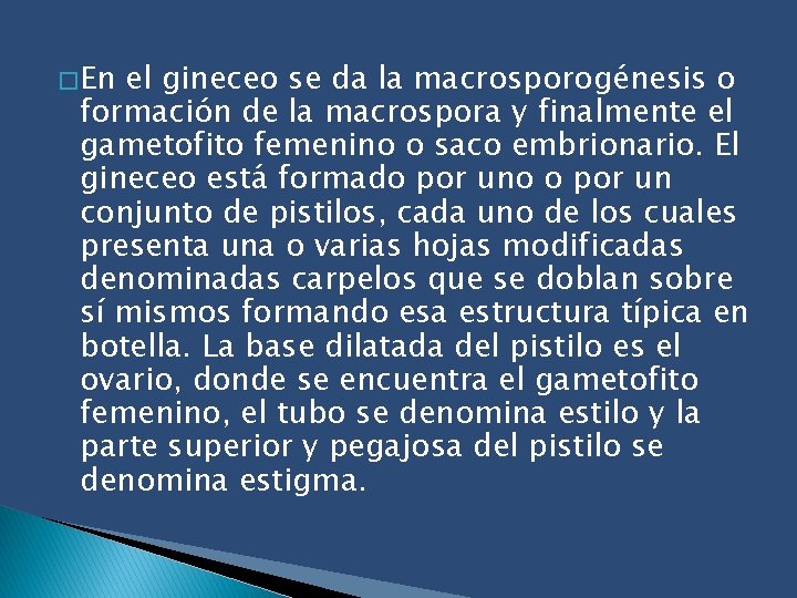 � En el gineceo se da la macrosporogénesis o formación de la macrospora y