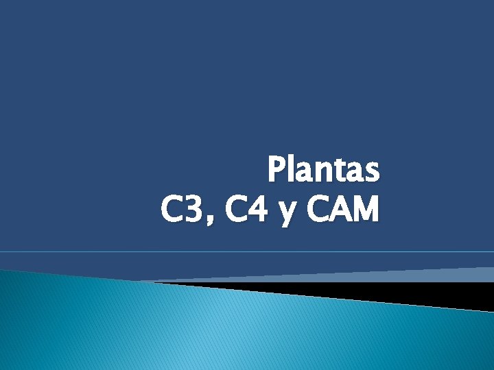 Plantas C 3, C 4 y CAM 