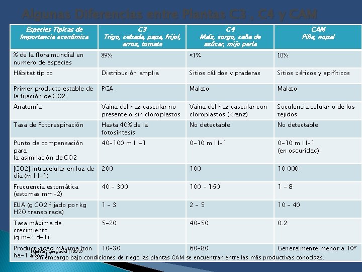 Algunas Diferencias entre Plantas C 3 , C 4 y CAM Especies Típicas de