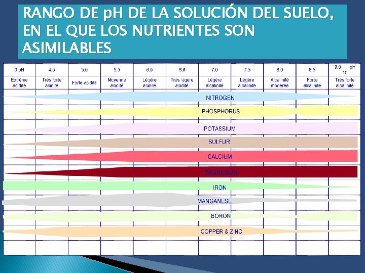 RANGO DE p. H DE LA SOLUCIÓN DEL SUELO, EN EL QUE LOS NUTRIENTES