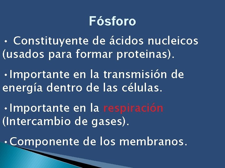Fósforo • Constituyente de ácidos nucleicos (usados para formar proteinas). • Importante en la