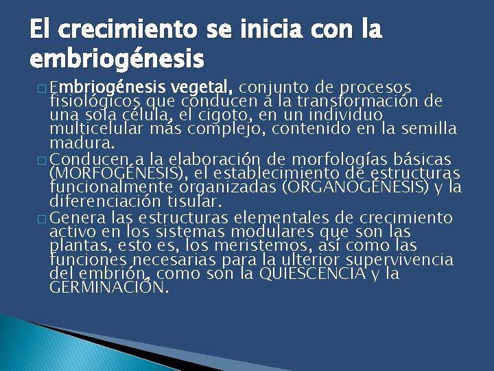 El crecimiento se inicia con la embriogénesis � Embriogénesis vegetal, conjunto de procesos fisiológicos