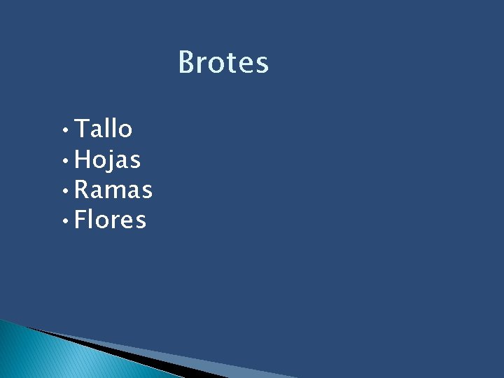 Brotes • Tallo • Hojas • Ramas • Flores 