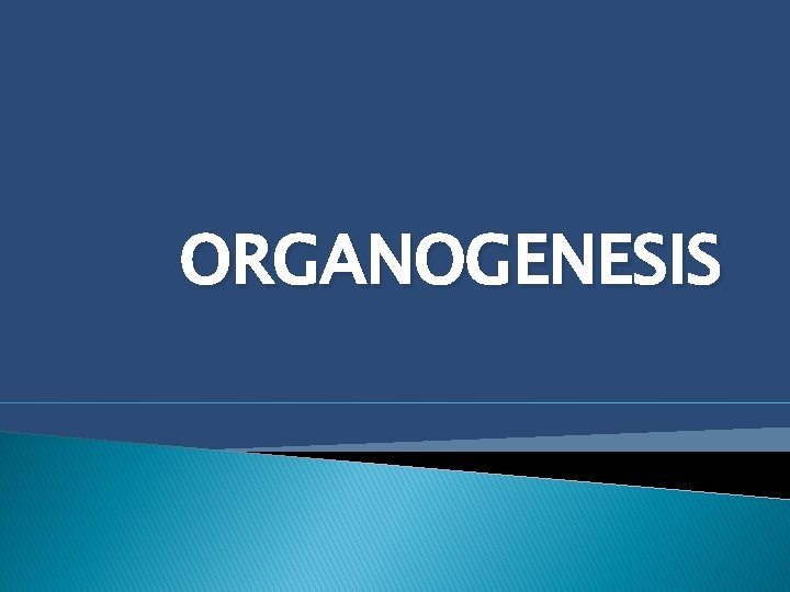 ORGANOGENESIS 