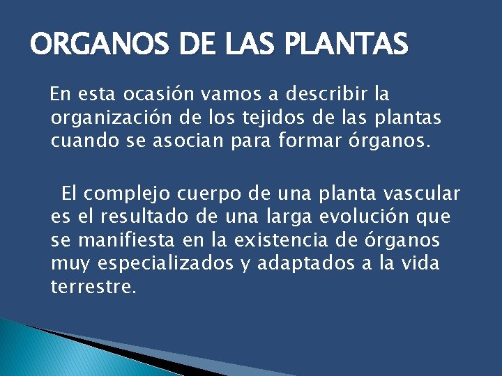ORGANOS DE LAS PLANTAS En esta ocasión vamos a describir la organización de los