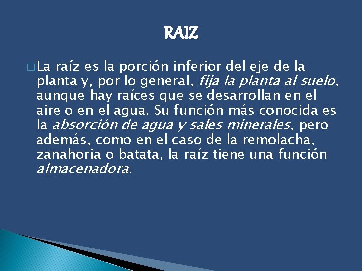 RAIZ � La raíz es la porción inferior del eje de la planta y,