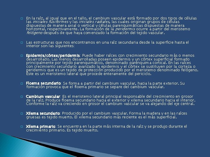 � � � � En la raíz, al igual que en el tallo, el