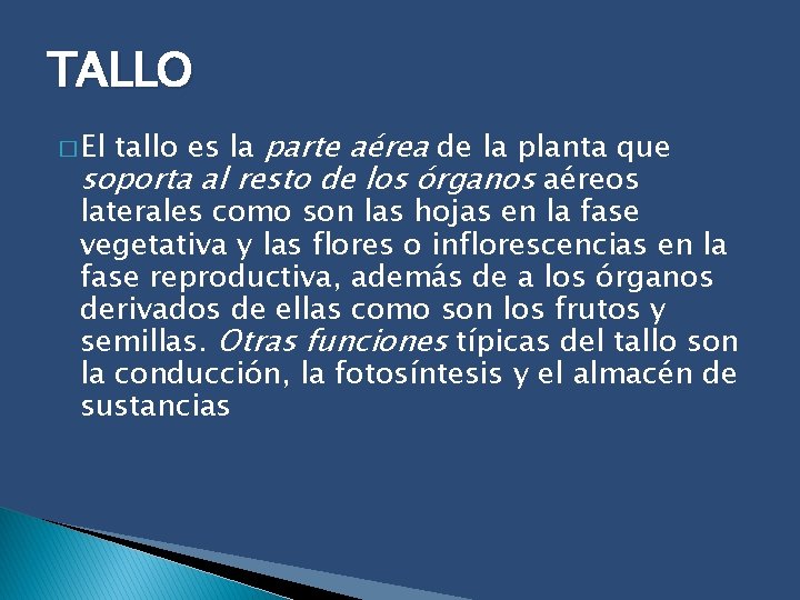 TALLO tallo es la parte aérea de la planta que soporta al resto de