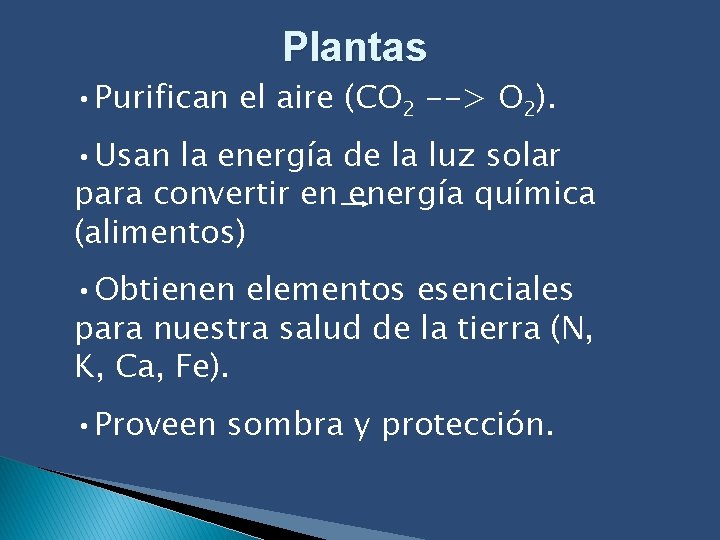Plantas • Purifican el aire (CO 2 --> O 2). • Usan la energía