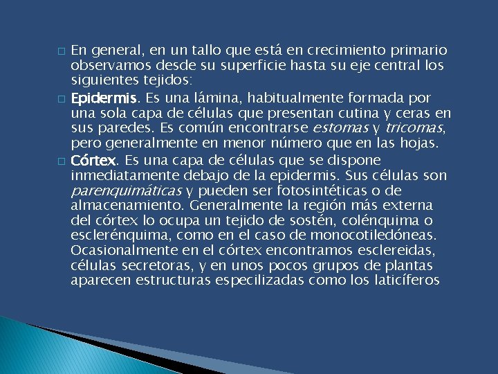 � � � En general, en un tallo que está en crecimiento primario observamos