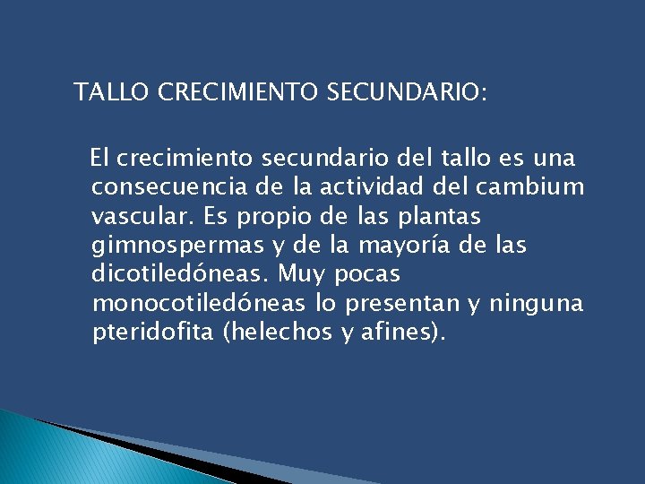 TALLO CRECIMIENTO SECUNDARIO: El crecimiento secundario del tallo es una consecuencia de la actividad