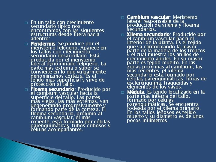 � � � En un tallo con crecimiento secundario típico nos encontramos con las
