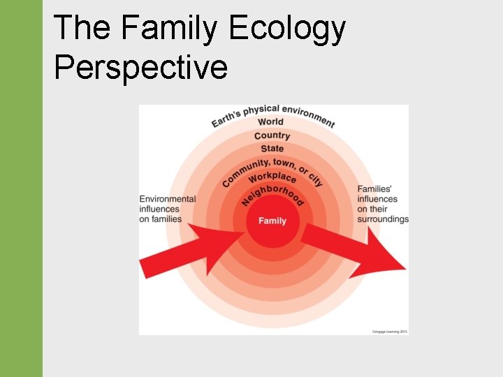 The Family Ecology Perspective 