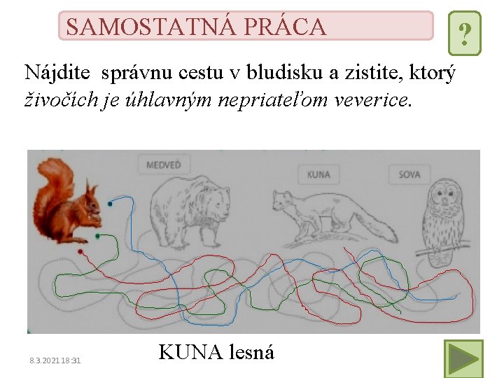 SAMOSTATNÁ PRÁCA Nájdite správnu cestu v bludisku a zistite, ktorý živočích je úhlavným nepriateľom