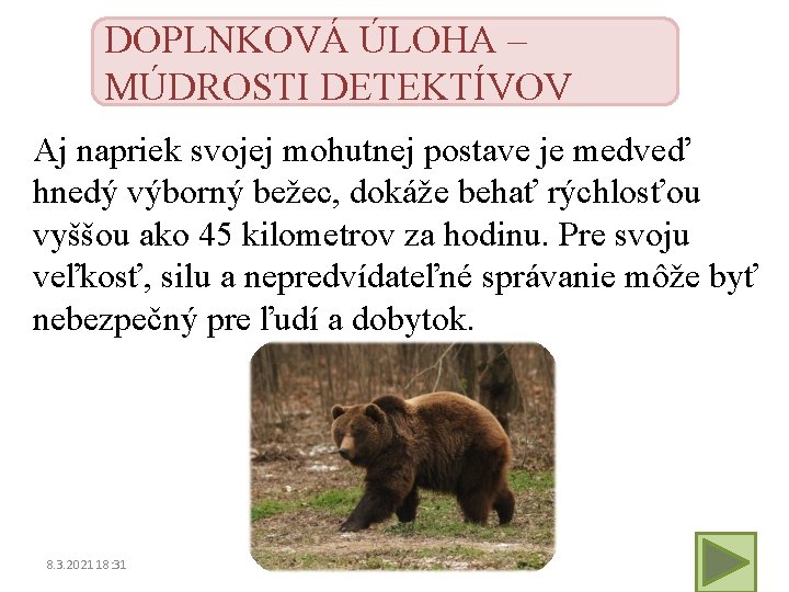 DOPLNKOVÁ ÚLOHA – MÚDROSTI DETEKTÍVOV Aj napriek svojej mohutnej postave je medveď hnedý výborný