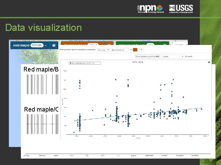Data visualization Red maple/Breaking leaf buds (2014) Red maple/Open flowers (2014) Data visualization Red maple/Breaking leaf buds (2014) Red maple/Open flowers (2014)