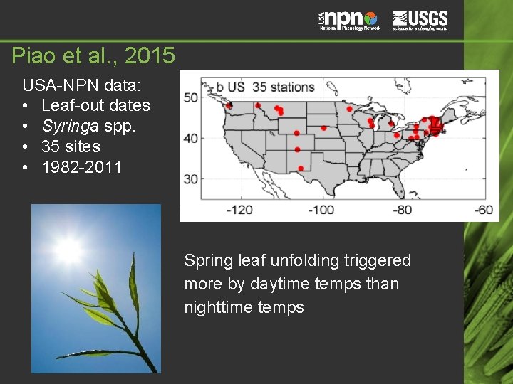 Piao et al. , 2015 USA-NPN data: • Leaf-out dates • Syringa spp. • Piao et al. , 2015 USA-NPN data: • Leaf-out dates • Syringa spp. •