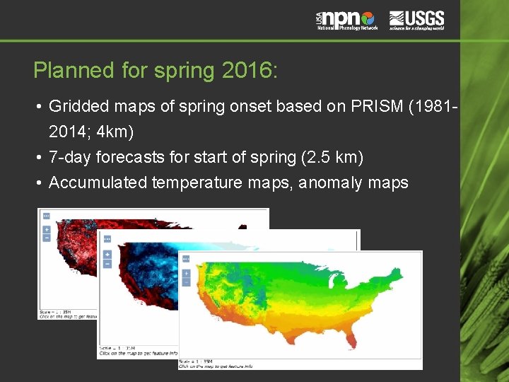 Planned for spring 2016: • Gridded maps of spring onset based on PRISM (19812014; Planned for spring 2016: • Gridded maps of spring onset based on PRISM (19812014;