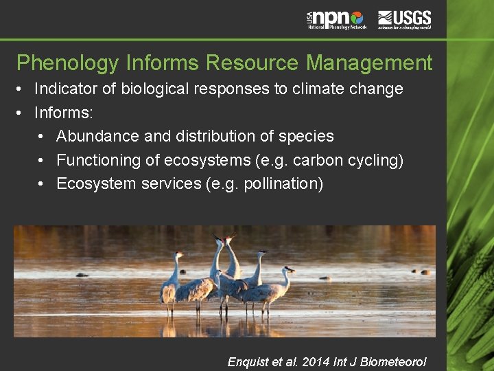 Phenology Informs Resource Management • Indicator of biological responses to climate change • Informs: Phenology Informs Resource Management • Indicator of biological responses to climate change • Informs: