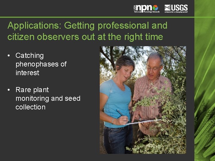 Applications: Getting professional and citizen observers out at the right time • Catching phenophases Applications: Getting professional and citizen observers out at the right time • Catching phenophases
