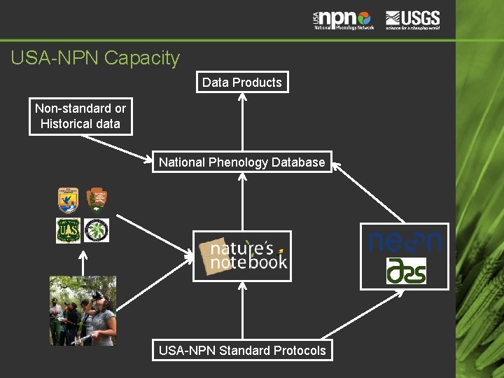 USA-NPN Capacity Data Products Non-standard or Historical data National Phenology Database USA-NPN Standard Protocols USA-NPN Capacity Data Products Non-standard or Historical data National Phenology Database USA-NPN Standard Protocols