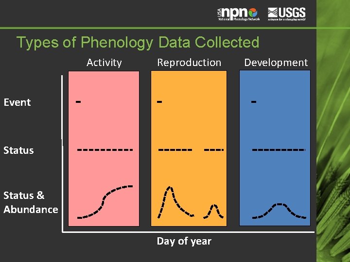 Types of Phenology Data Collected Activity Reproduction Event Status & Abundance Day of year Types of Phenology Data Collected Activity Reproduction Event Status & Abundance Day of year