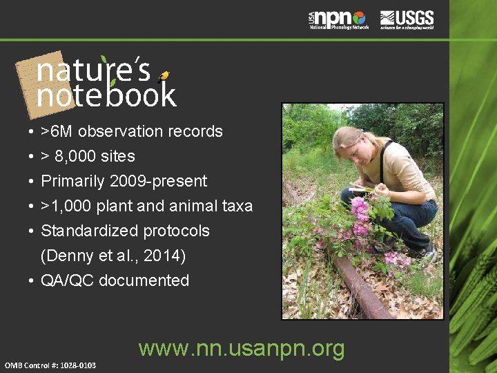 • • • >6 M observation records > 8, 000 sites Primarily 2009 • • • >6 M observation records > 8, 000 sites Primarily 2009