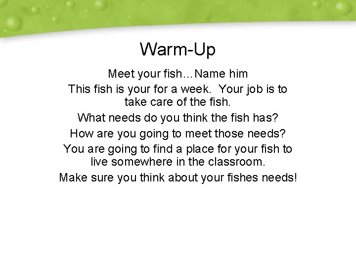 Warm-Up Meet your fish…Name him This fish is your for a week. Your job Warm-Up Meet your fish…Name him This fish is your for a week. Your job