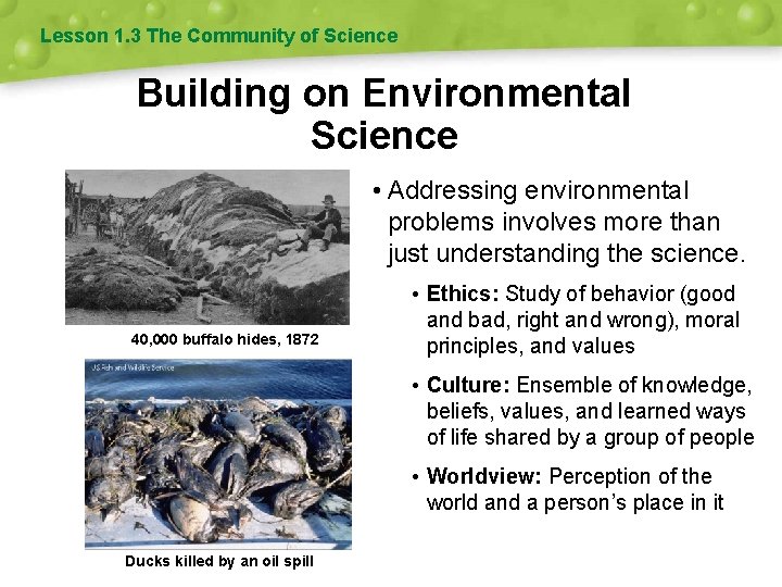 Lesson 1. 3 The Community of Science Building on Environmental Science • Addressing environmental Lesson 1. 3 The Community of Science Building on Environmental Science • Addressing environmental