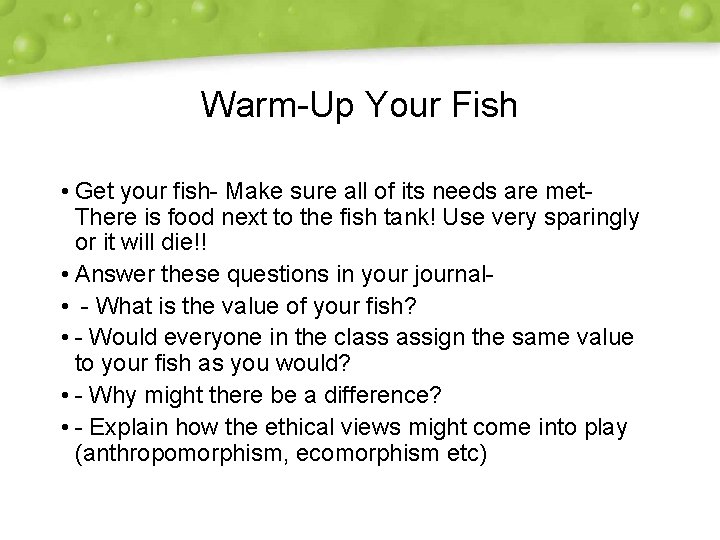 Warm-Up Your Fish • Get your fish- Make sure all of its needs are Warm-Up Your Fish • Get your fish- Make sure all of its needs are