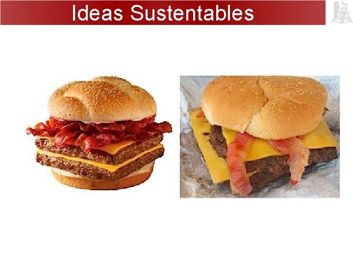Ideas Sustentables 