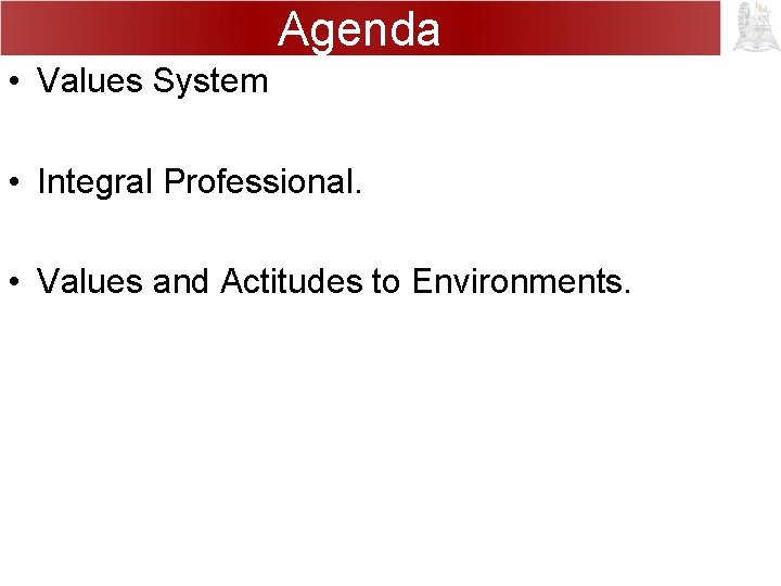 Agenda • Values System • Integral Professional. • Values and Actitudes to Environments. 