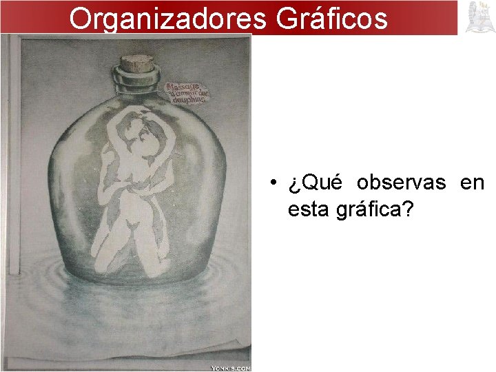 Organizadores Gráficos • ¿Qué observas en esta gráfica? 