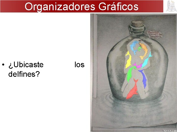 Organizadores Gráficos • ¿Ubicaste delfines? los 