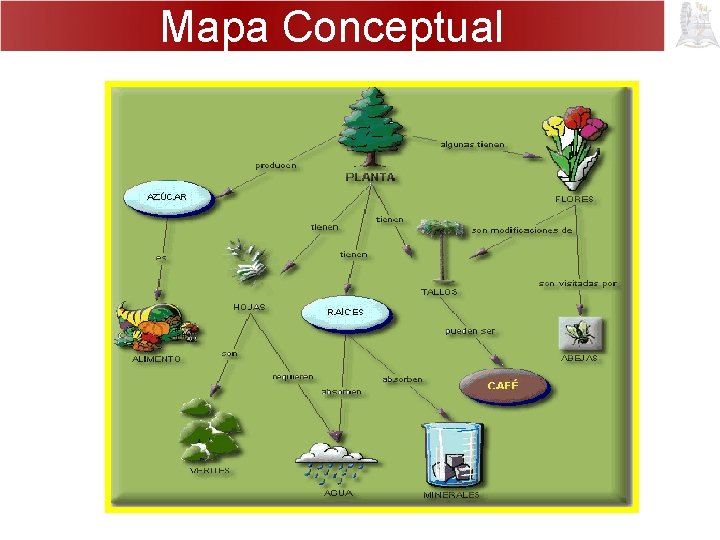 Mapa Conceptual 