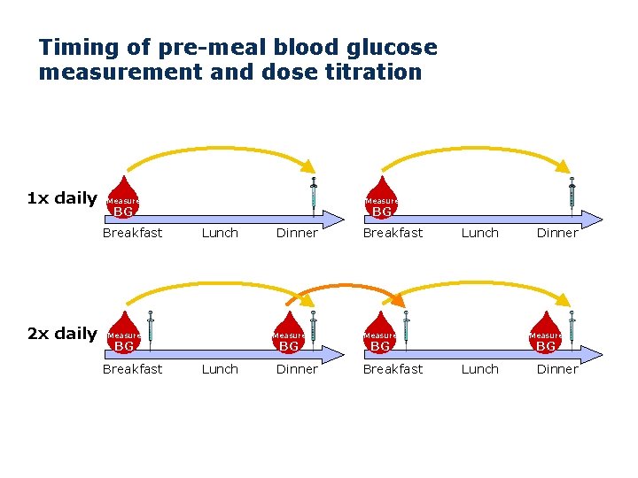 Timing of pre-meal blood glucose measurement and dose titration 1 x daily Measure Breakfast