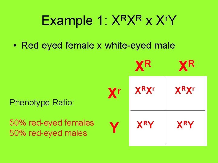 Example 1: XRXR x Xr. Y • Red eyed female x white-eyed male Phenotype