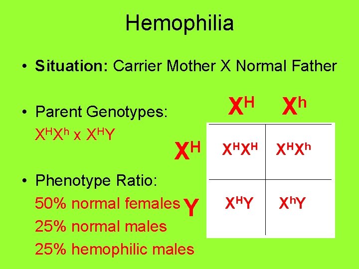 Hemophilia • Situation: Carrier Mother X Normal Father • Parent Genotypes: X HX h