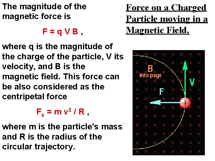 The magnitude of the magnetic force is F=q. VB, where q is the magnitude The magnitude of the magnetic force is F=q. VB, where q is the magnitude