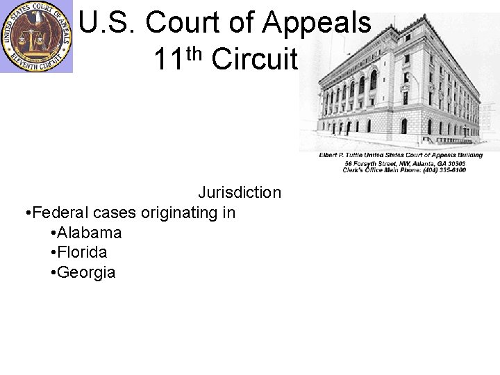 U. S. Court of Appeals 11 th Circuit Jurisdiction • Federal cases originating in
