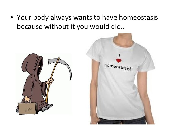  • Your body always wants to have homeostasis because without it you would