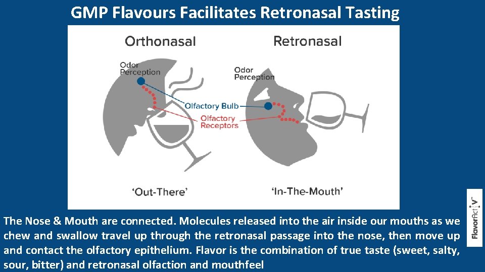 GMP Flavours Facilitates Retronasal Tasting The Nose & Mouth are connected. Molecules released into