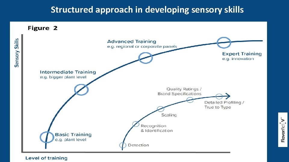 Structured approach in developing sensory skills 